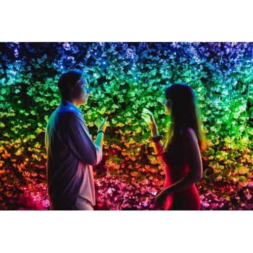 Juletræslys LED 20 m – Twinkly Strings 250 Special Edition RGB+W, app-styret