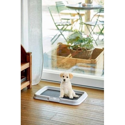 Hundetoilet til hvalpe ZOLUX – åben katte-/hundebakke, sort/grå