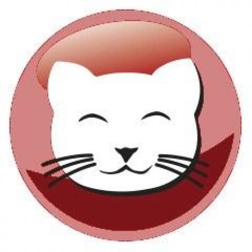 Tørfoder til kat - PREVITAL Adult med oksekød 1,4 kg
