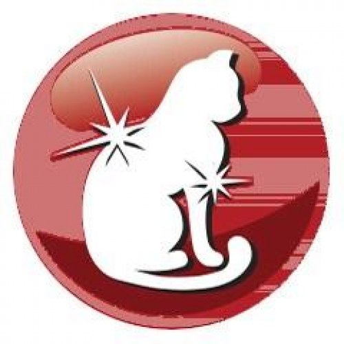 Tørfoder til kat - PREVITAL Adult med oksekød 1,4 kg