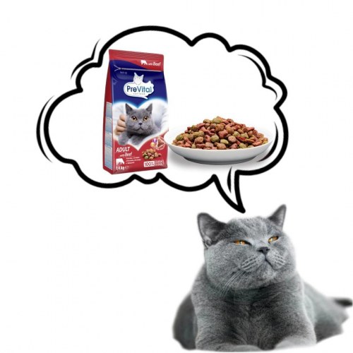 Tørfoder til kat - PREVITAL Adult med oksekød 1,4 kg
