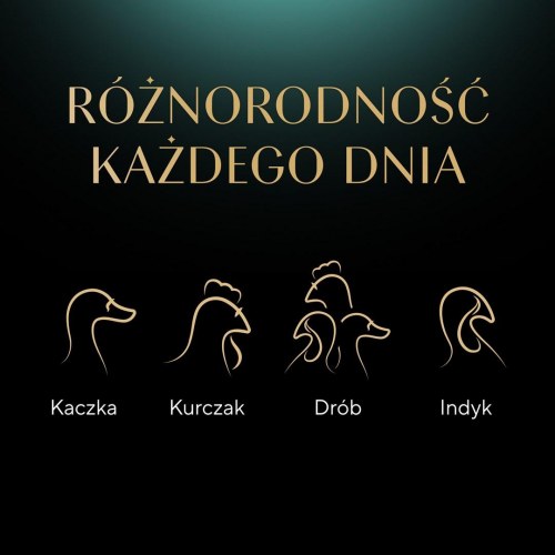 Vådfoder til kat – Sheba Delicacy Fjerkræ i gelé, 40×85 g