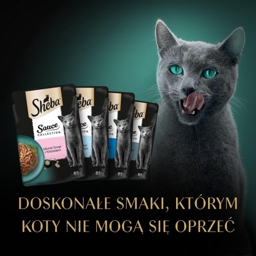 Vådfoder til kat – Sheba Sauce Collection Fiskesmage, 40×85 g
