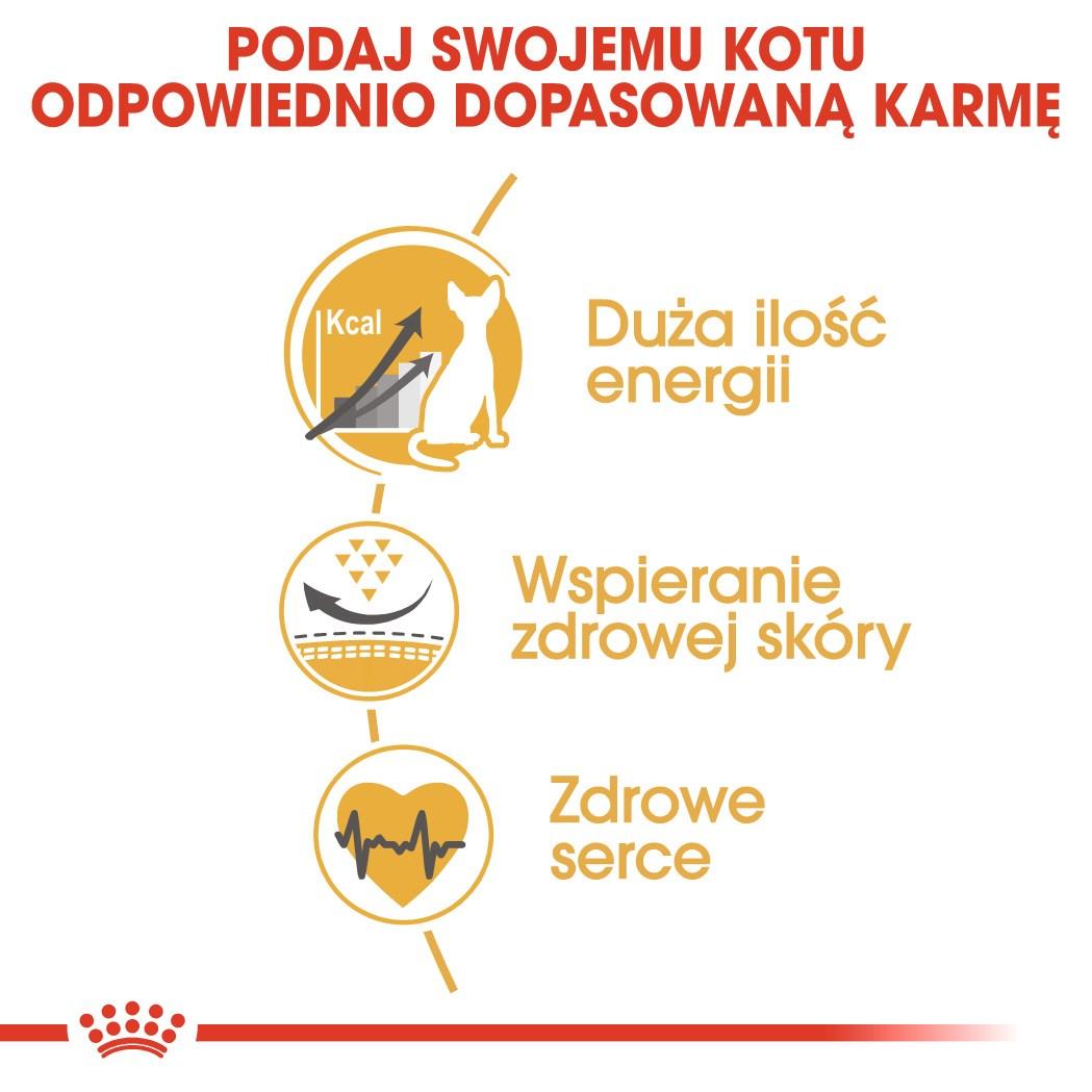 Kattemad tør – Royal Canin Sphynx Adult 2 kg billede