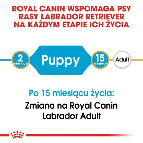 Hundefoder tørfoder Royal Canin Labrador Retriever Puppy – 12 kg