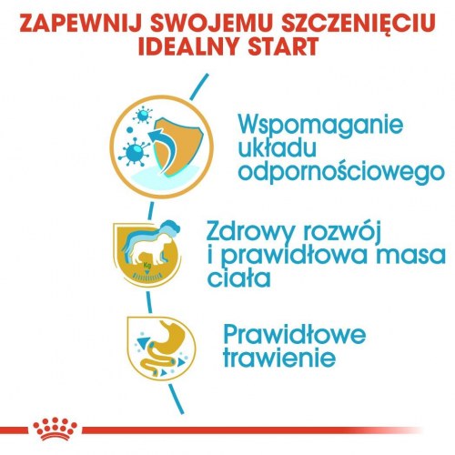 Hundefoder tørfoder Royal Canin Labrador Retriever Puppy – 12 kg