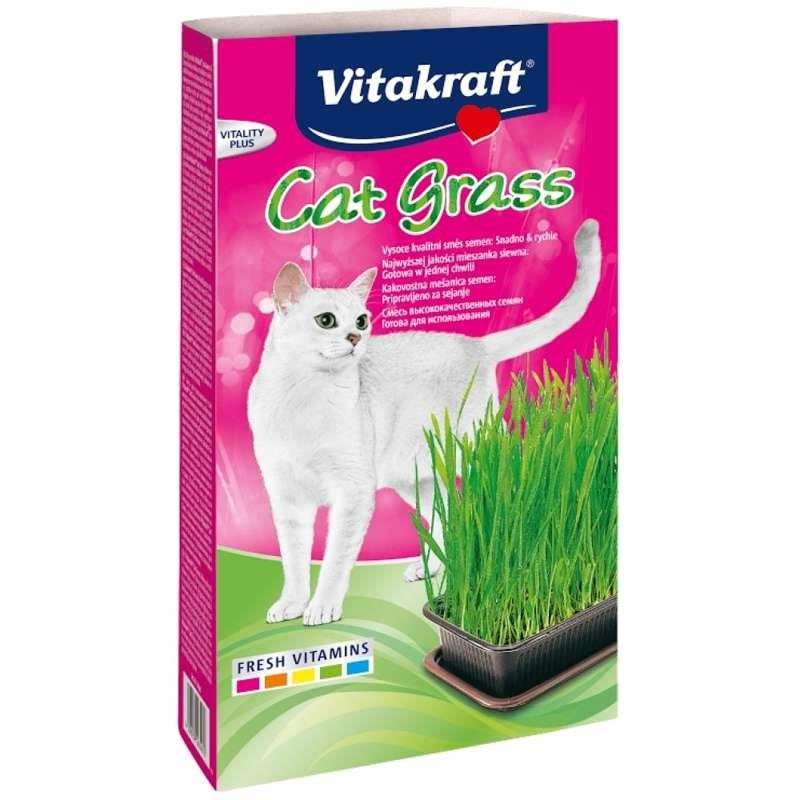 Kattegræs Vitakraft - kit til kat - 120 g