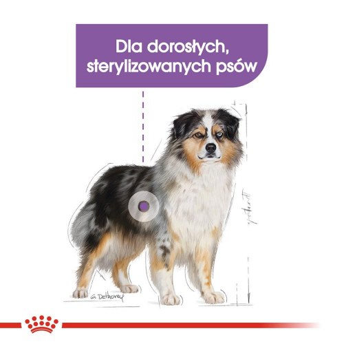 Hundefoder tørfoder Royal Canin Medium Sterilised – 3 kg