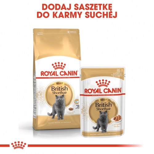 Kattemad tørfoder Royal Canin British Shorthair Adult – 10 kg