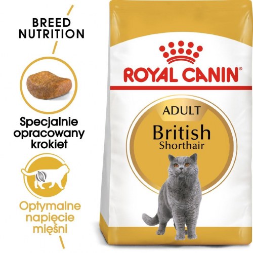 Kattemad tørfoder Royal Canin British Shorthair Adult – 10 kg