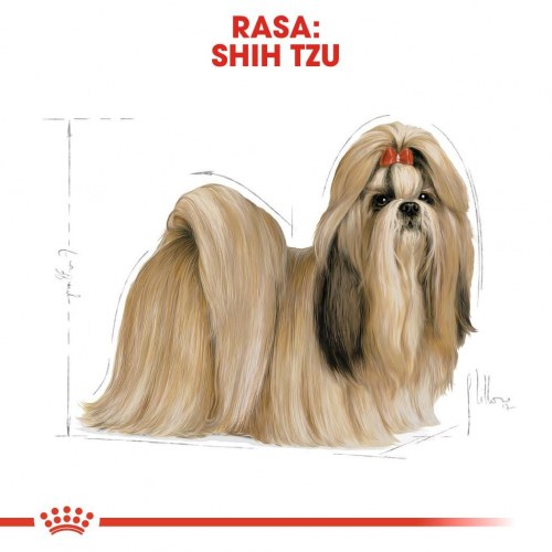 Hundefoder tørfoder Royal Canin Shih Tzu Adult 1,5 kg