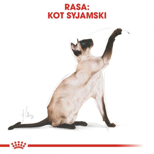 Kattemad tørfoder Royal Canin Siamese Adult 2 kg