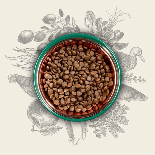 Kattemad tørfoder Eden Original Cuisine – 10 kg