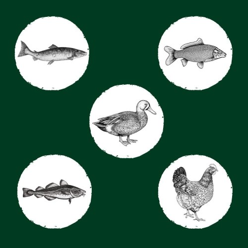 Kattemad tørfoder Eden Original Cuisine – 10 kg