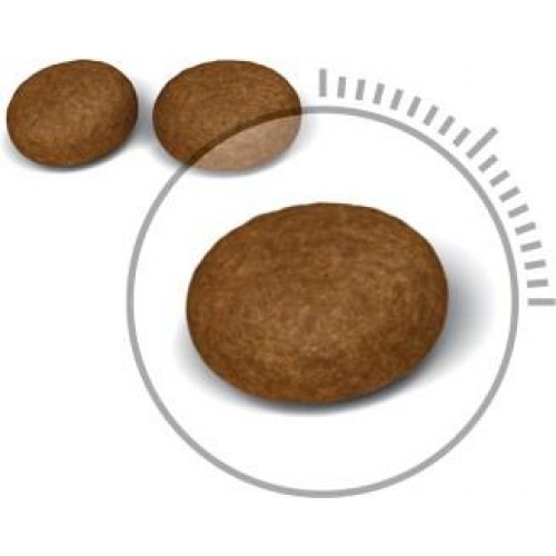 Tørfoder til kat – Royal Canin Hair & Skin Care Adult 400 g