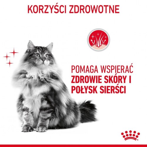 Tørfoder til kat – Royal Canin Hair & Skin Care Adult 400 g