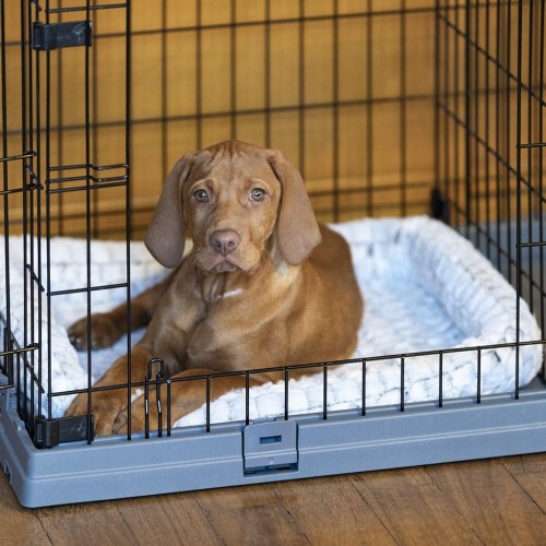 Transportbur til hund FERPLAST Superior 90 - 92 × 58,5 × 62,5 cm, sort