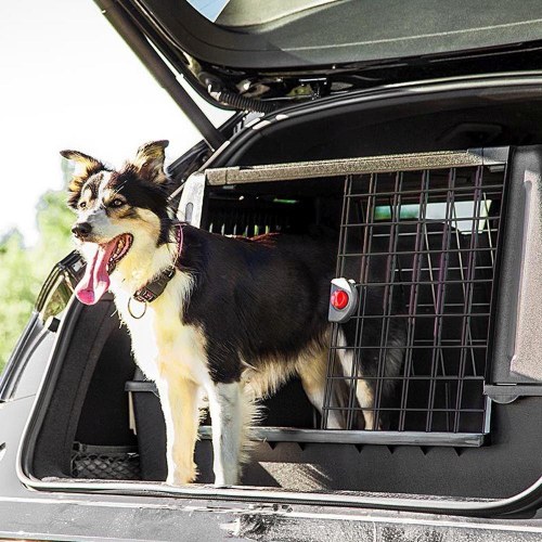 Transportkasse til hund – FERPLAST Atlas Car 100 Scenic