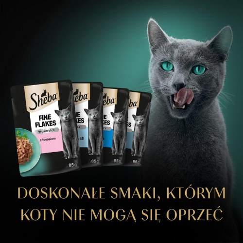 Vådfoder til kat – Sheba Delicacy Fishy Flavours i gelé, 80 × 85 g