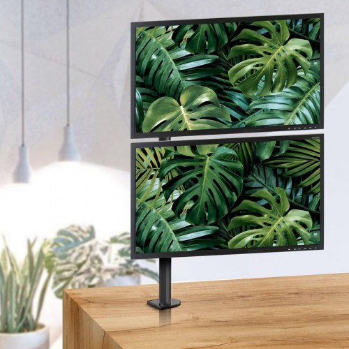 Skærmholder til 2 skærme – Maclean MC-967, lodret, bordmontering, VESA 75x75/100x100, 13–27″, vip/rotér/juster