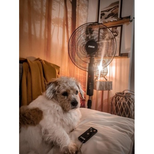 Stativventilator 40 cm med fjernbetjening – N'OVEEN F455, sort