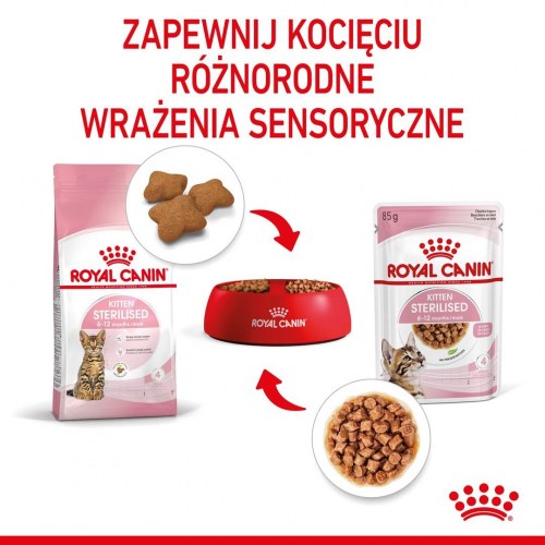 Kattemad vådfoder Royal Canin Kitten Sterilised i sovs 12×85 g