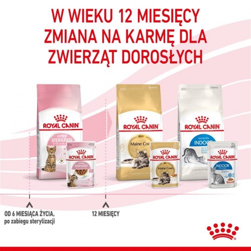 Kattemad vådfoder Royal Canin Kitten Sterilised i sovs 12×85 g