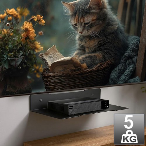 TV-væg hylde Maclean - enkelt, stål, max 5 kg (MC-122)