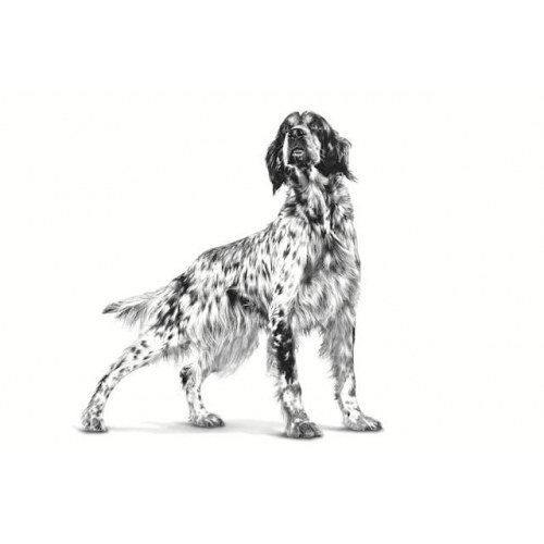 Hundefoder tørfoder Royal Canin Hypoallergenic 2 kg