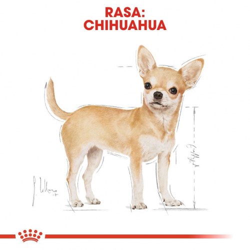 Hundefoder vådfoder Royal Canin Chihuahua Adult 12×85 g