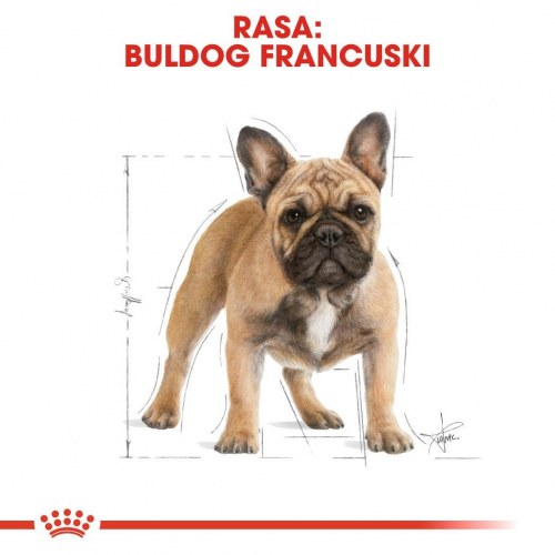 Hundefoder Royal Canin French Bulldog Adult tørfoder 9 kg