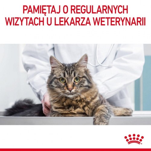 Kattemad tørfoder Royal Canin Hairball Care 10 kg – voksen kat