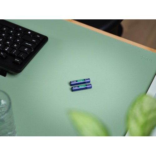 Genopladelige AAA batterier 500 mAh – Trust (2 stk.)