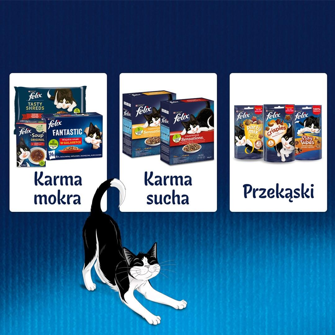 Vådfoder til kat – Purina Felix Fantastic Kylling & Tomat, 85 g