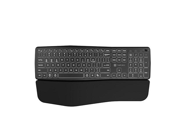 Natec PORIFERA - keyboard full size - QWERTY - US - black Input Device - Tastatur - Amerikansk engelsk - Sort