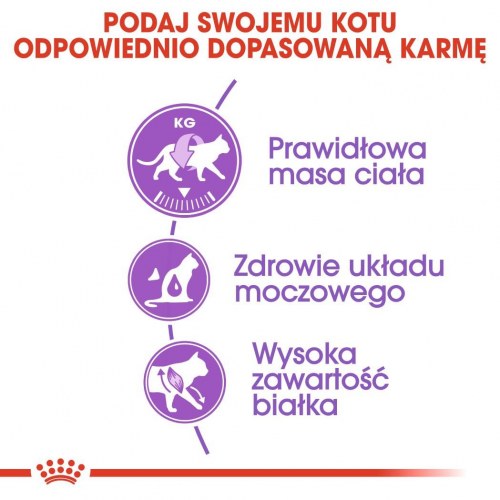 Kattemad tørfoder Royal Canin Sterilised 37 Adult 400 g – fjerkræ