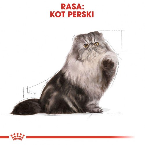 Kattemad tørfoder Royal Canin Persian Adult 2 kg