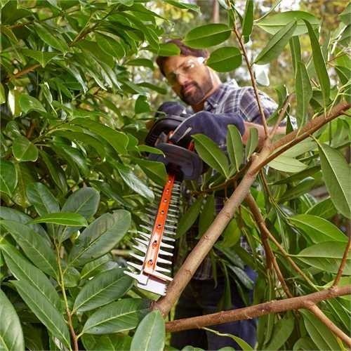 Hækkeklipper Black & Decker 500 W - 55 cm, 22 mm