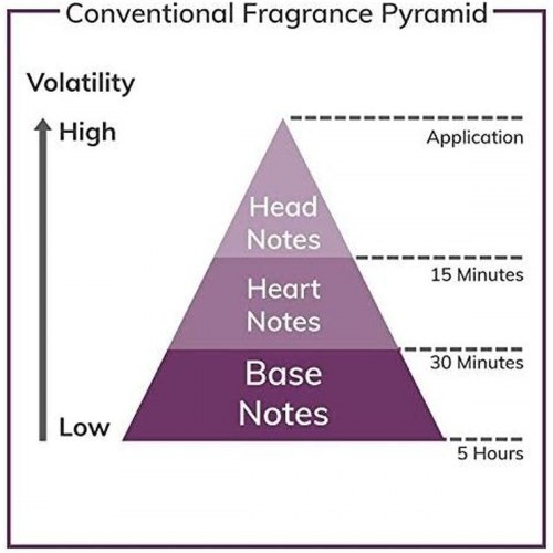 YSL La Nuit De L’Homme Le Parfum EDP 100 ml - herreparfume