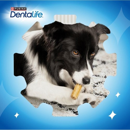 Hundedentalsticks Purina Dentalife Extra Mini – tandpleje snack 69 g