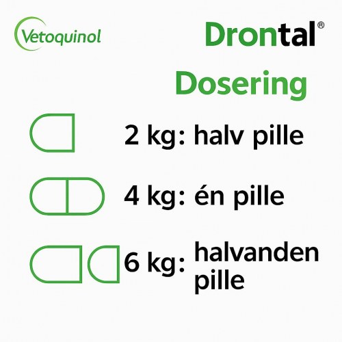 Ormekur til kat – Vetoquinol Drontal tabletter, 2 stk.
