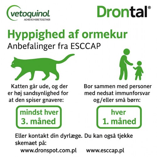 Ormekur til kat – Vetoquinol Drontal tabletter, 2 stk.