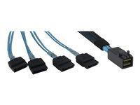 SAS-kabel 12 Gbit/s til 4x Mini SAS HD til SATA 50 cm - Inter-Tech, sort/blå billede