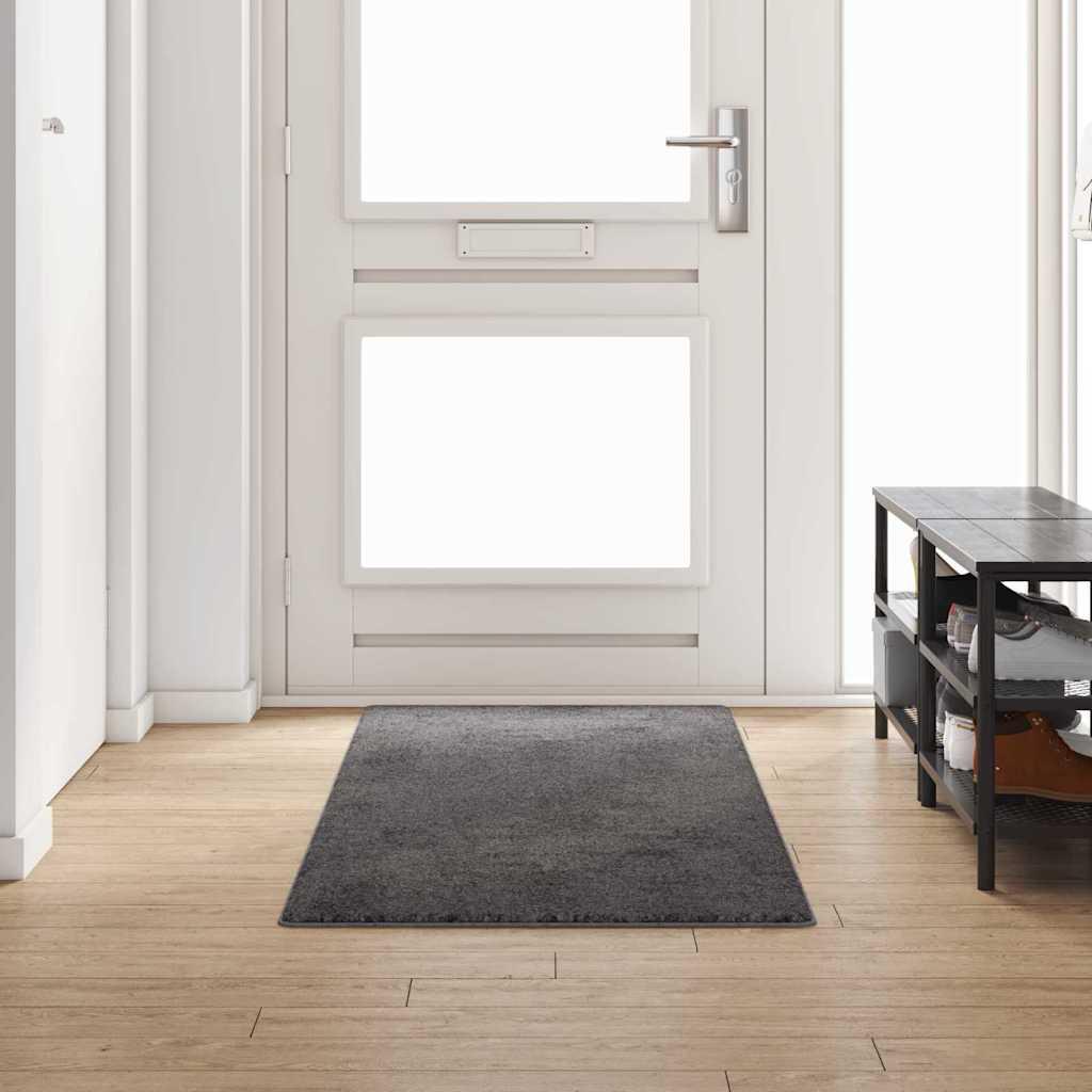 Tæppe Runner Grå 80 x 250 cm 100% Polypropylen Tuft