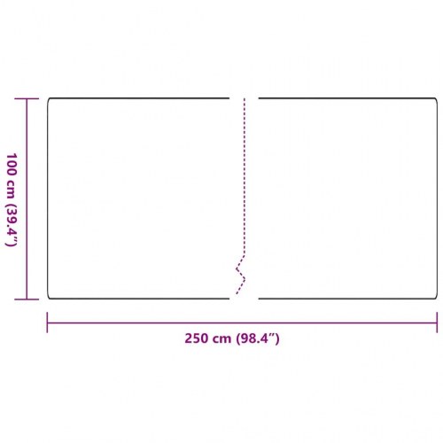 Tæppeløber antracit 100 × 250 cm - 100% polypropylen, skridsikker