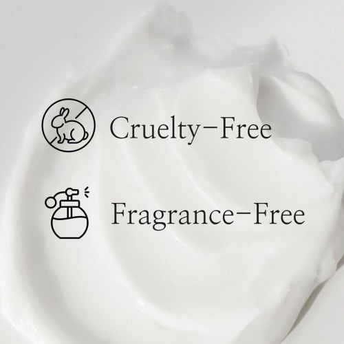 Beauty of Joseon Dynasty Cream ansigtscreme 50 ml