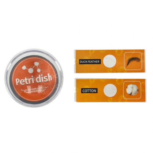 Mikroskop til børn – videnskabeligt skolemikroskop 250x