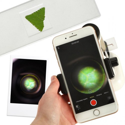 Mikroskop til børn – videnskabeligt skolemikroskop 250x