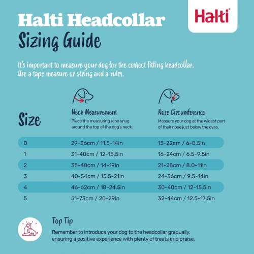 Mundkurv til hund - Company of Animals Cobalt, blå, str. 1