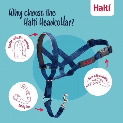 Mundkurv til hund - Company of Animals Cobalt, blå, str. 1